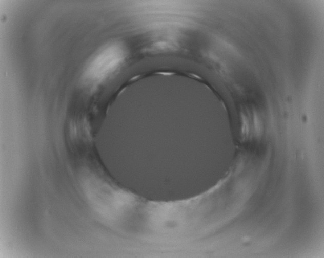 X0000070350045200607072049