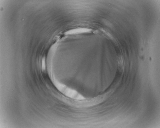 X0000070350046200607072049