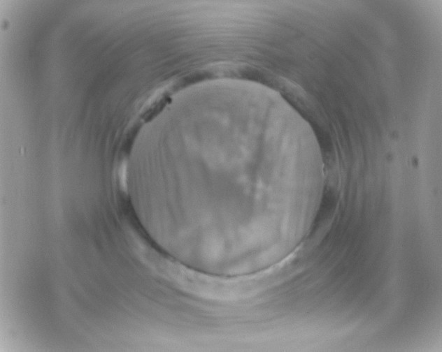 X0000070350047200607072049