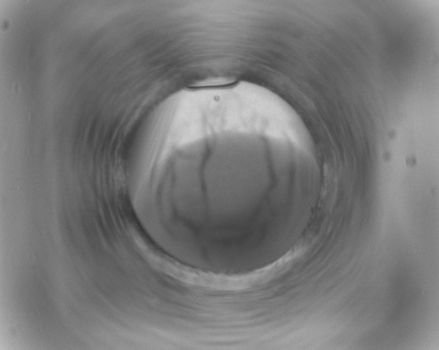 X0000070350048200607072049