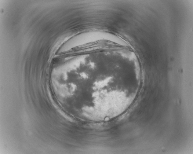 X0000070350049200607072048