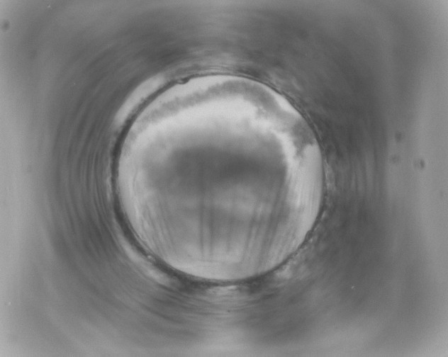 X0000070350054200607072048