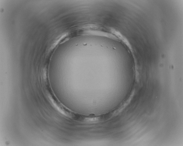 X0000070350057200607072048