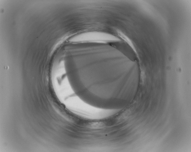 X0000070350059200607072048