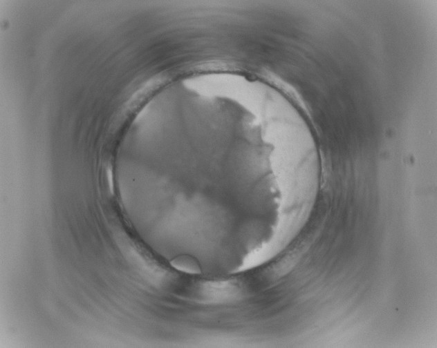 X0000070350061200607072048