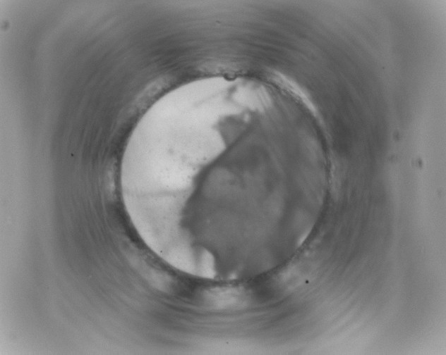 X0000070350065200607072048