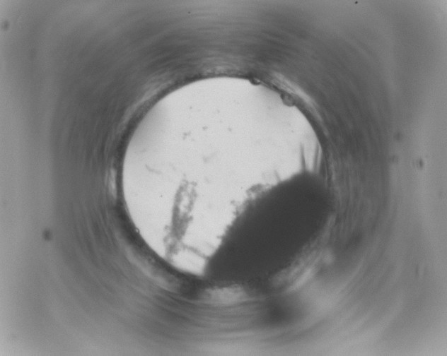 X0000070350067200607072048