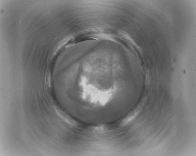 X0000070350068200607072048