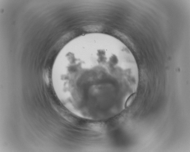 X0000070350069200607072048