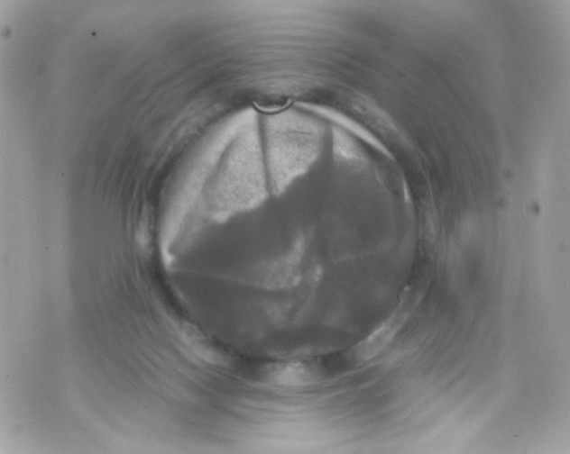 X0000070350074200607072049