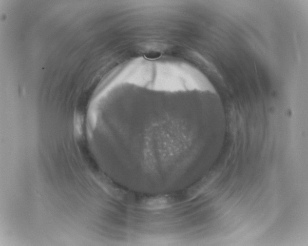 X0000070350075200607072049