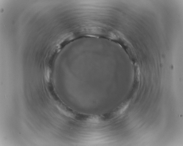 X0000070350076200607072049