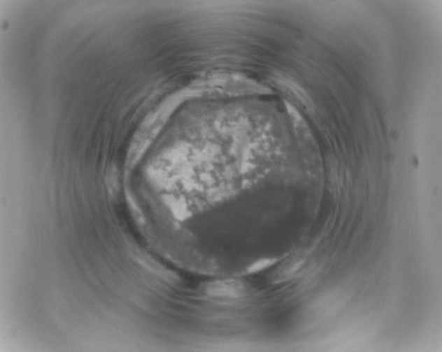 X0000070350077200607072049