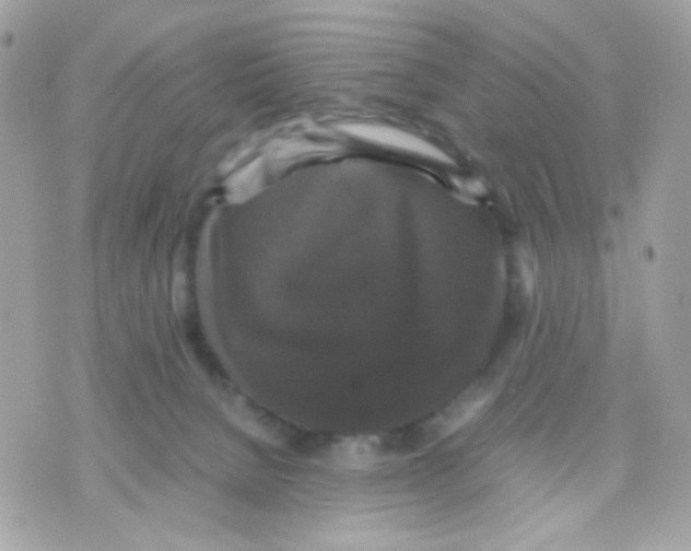 X0000070350080200607072049