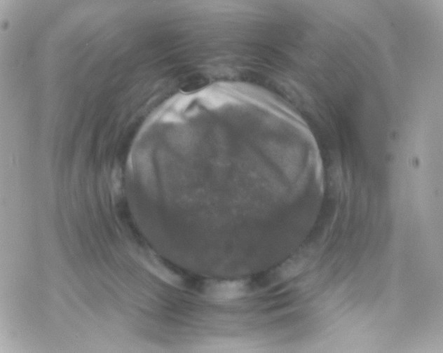 X0000070350081200607072049