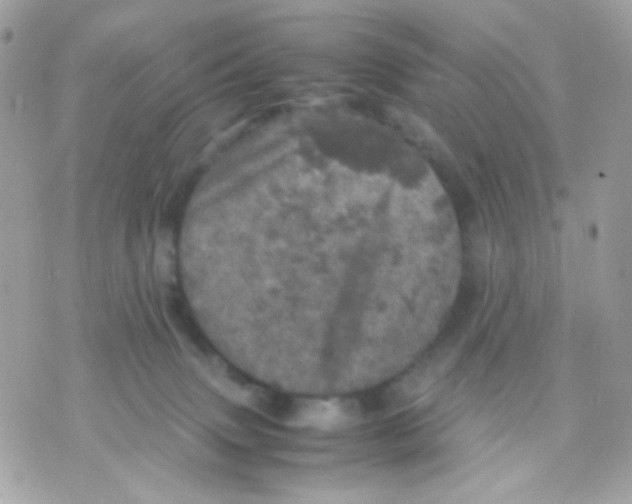 X0000070350083200607072049