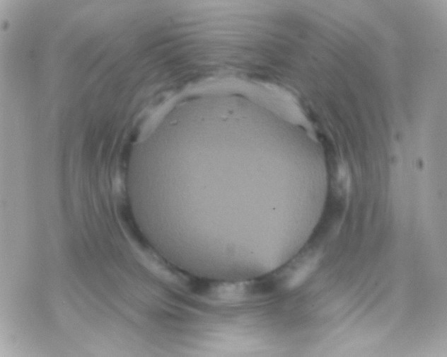 X0000070350084200607072049