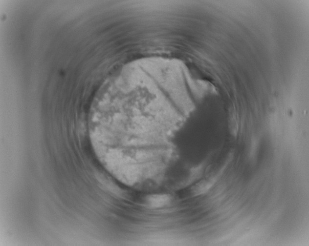 X0000070350085200607072049