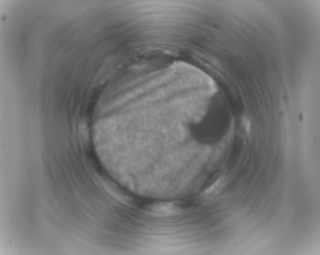 X0000070350086200607072049