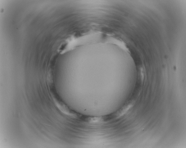 X0000070350088200607072049