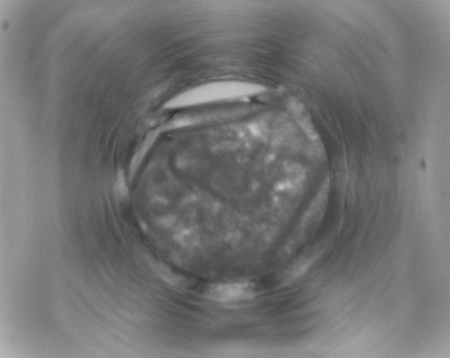 X0000070350089200607072049