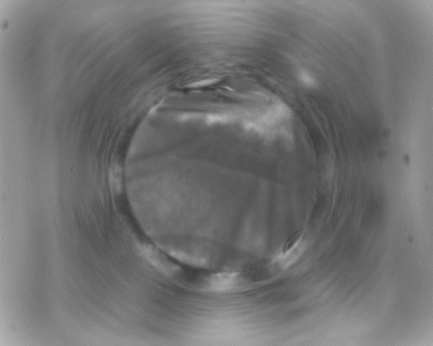 X0000070350090200607072049