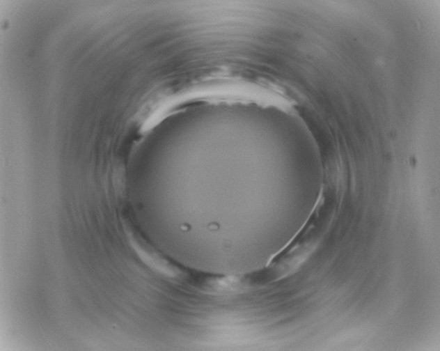 X0000070350092200607072049