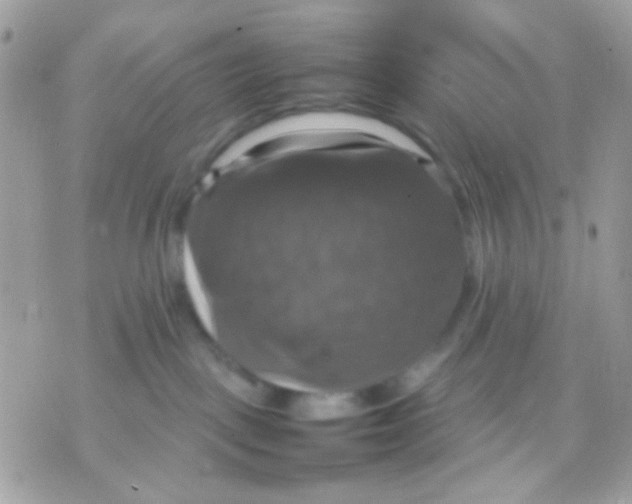 X0000070350093200607072049