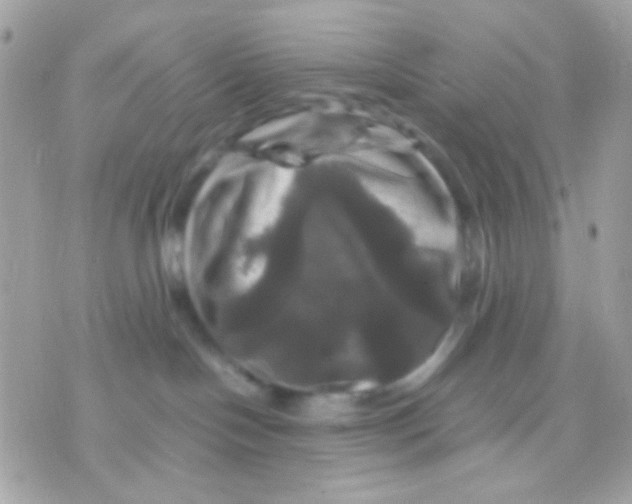 X0000070350094200607072049