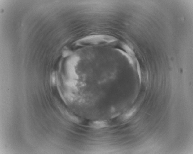 X0000070350095200607072049