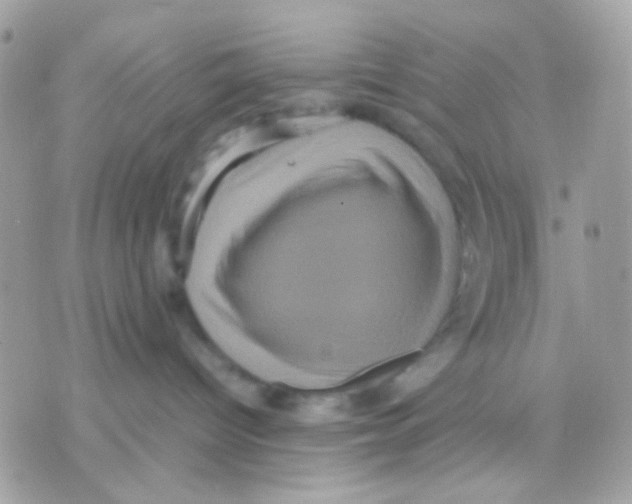 X0000070350096200607072049