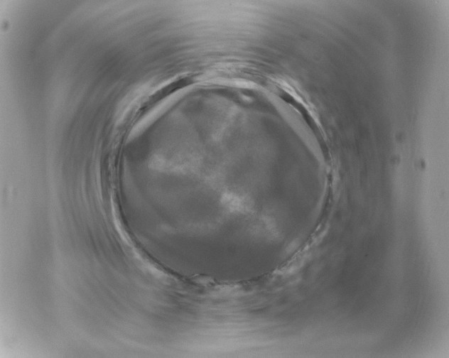 X0000070350097200607072048