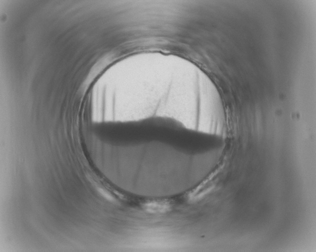 X0000070350099200607072048