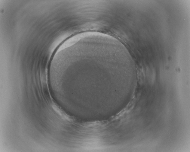 X0000070350100200607072048