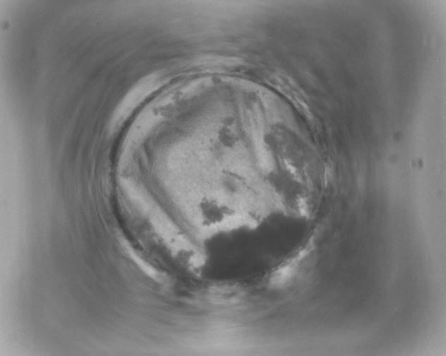 X0000070350101200607072048