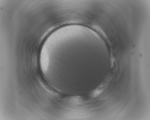 X0000070350108200607072048