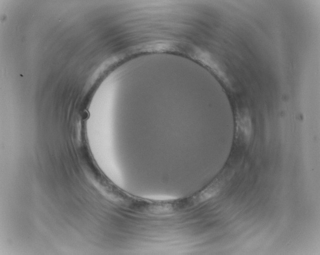 X0000070350110200607072048