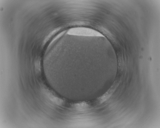 X0000070350112200607072048