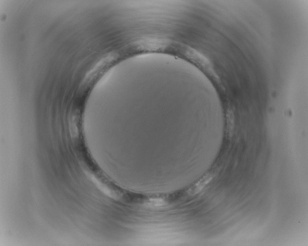 X0000070350114200607072048