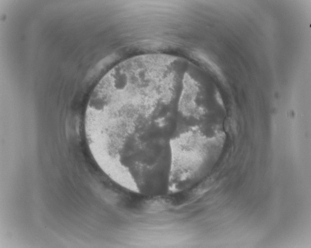 X0000070350115200607072048