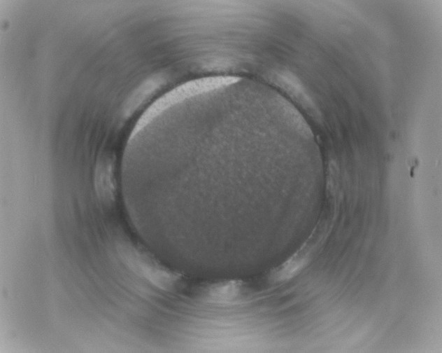 X0000070350116200607072048