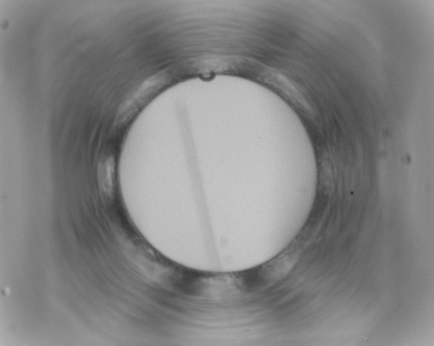 X0000070350118200607072048