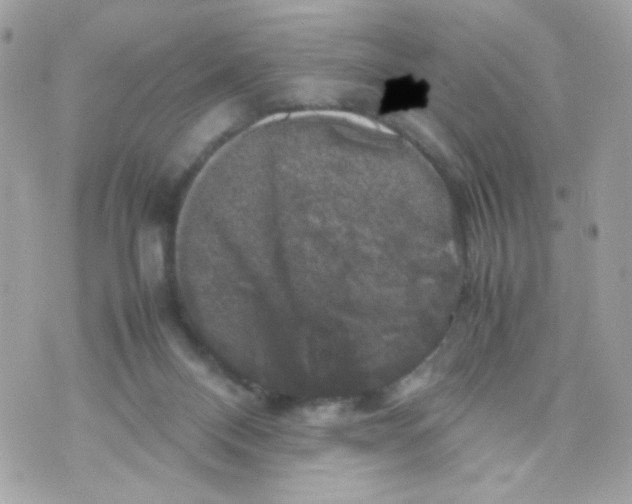 X0000070350120200607072048