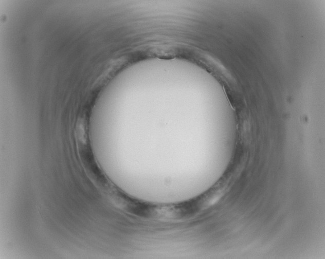 X0000070350121200607072048