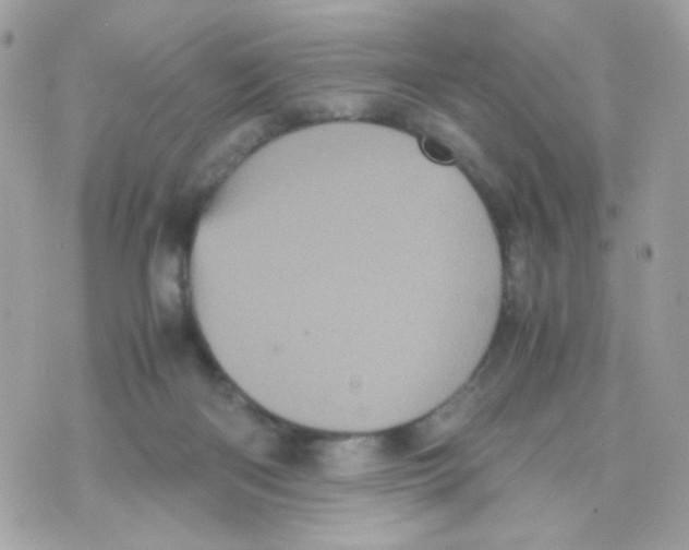 X0000070350122200607072048