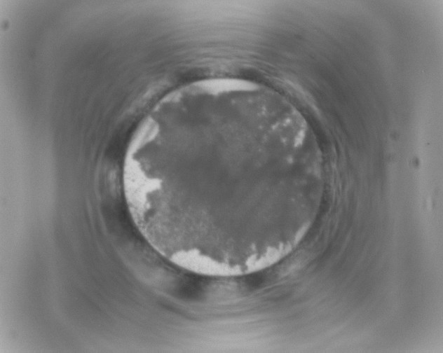 X0000070350123200607072048