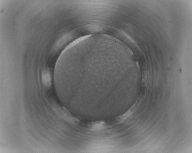 X0000070350124200607072048