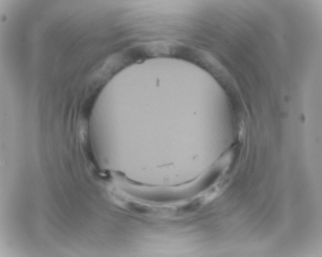 X0000070350125200607072048