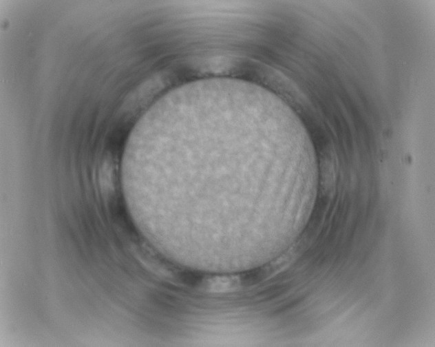 X0000070350126200607072048