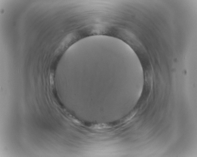 X0000070350127200607072048